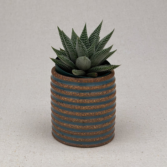 Extra Small Blue Stripe Cylinder Planter
