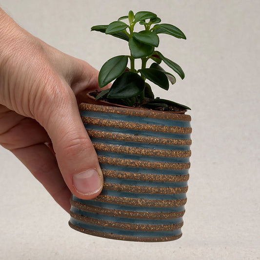 Extra Small Blue Stripe Cylinder Planter