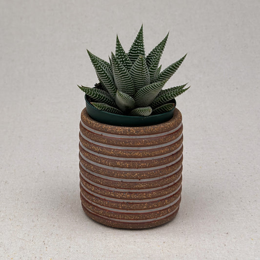Extra Small Shino Stripe Cylinder Planter