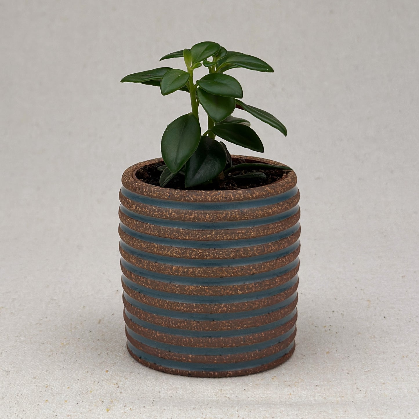 Extra Small Blue Stripe Cylinder Planter