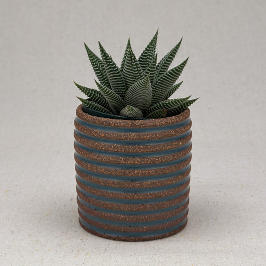 Extra Small Blue Stripe Cylinder Planter