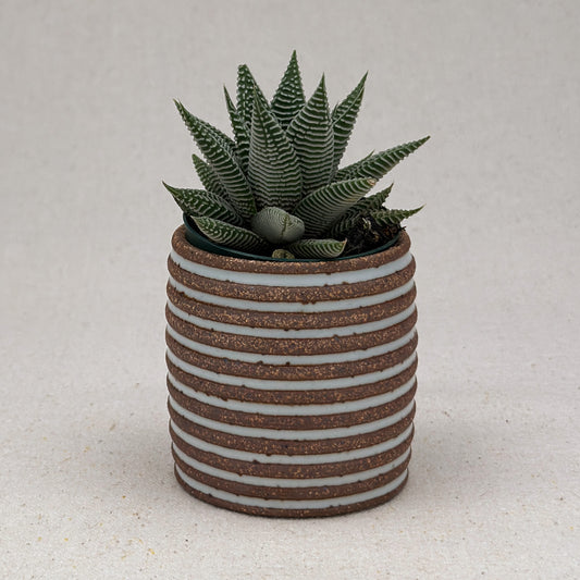 Extra Small White Stripe Cylinder Planter