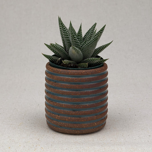 Extra Small Blue Stripe Cylinder Planter