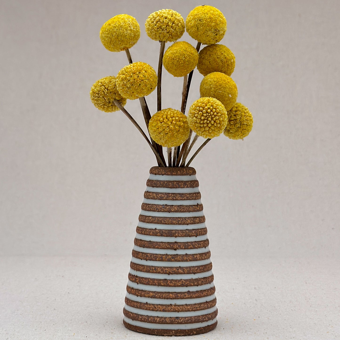 Extra Small White Stripe Cone Vase