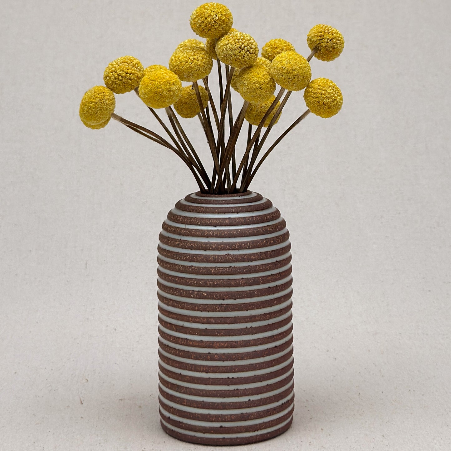 Medium White Stripe Round Top Vase