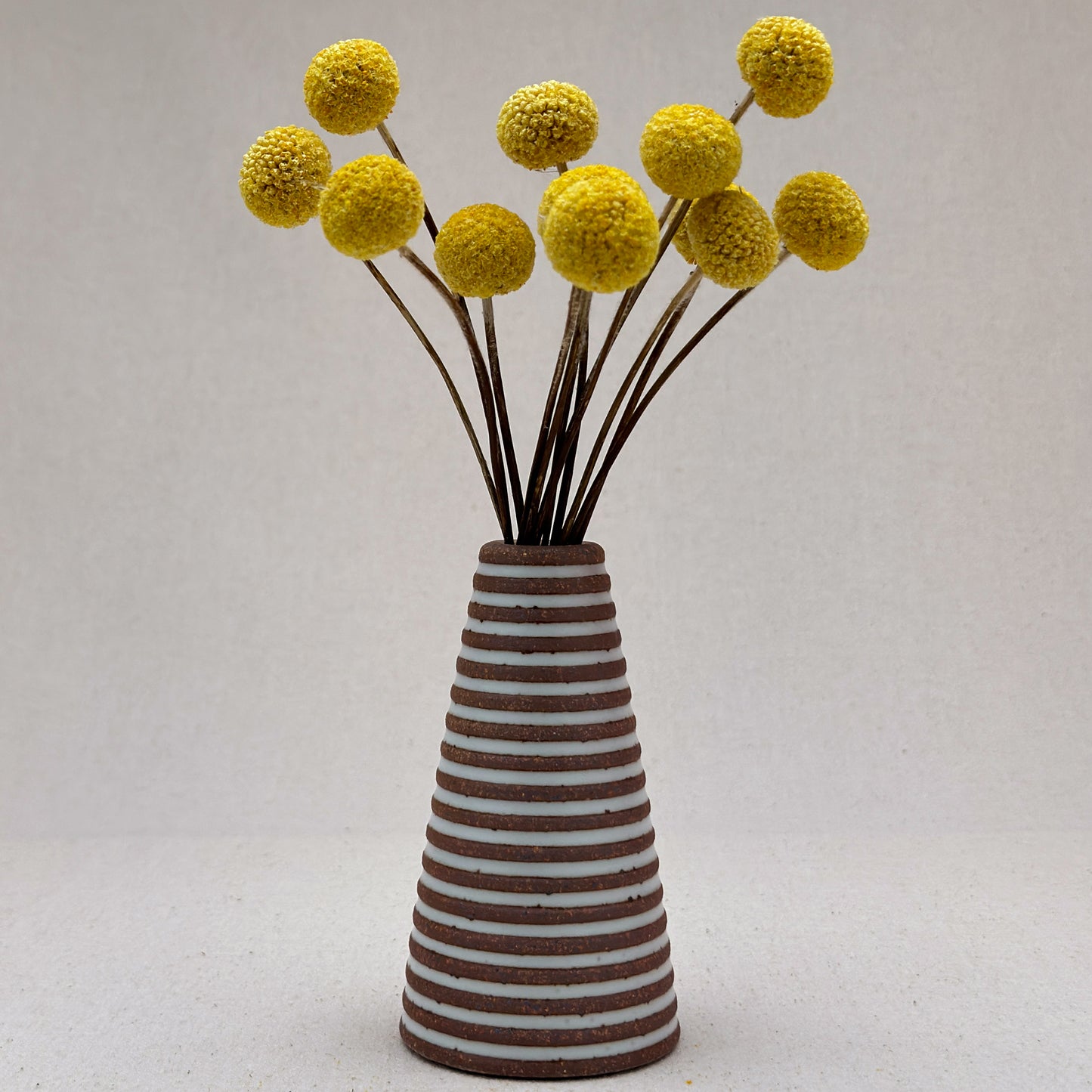 Small White Stripe Cone Vase