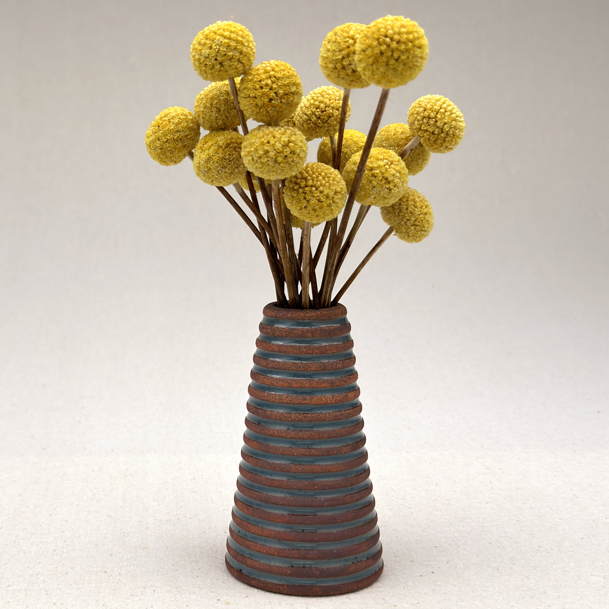 Small Blue Stripe Cone Vase