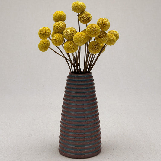 Medium Blue Stripe Conical Vase