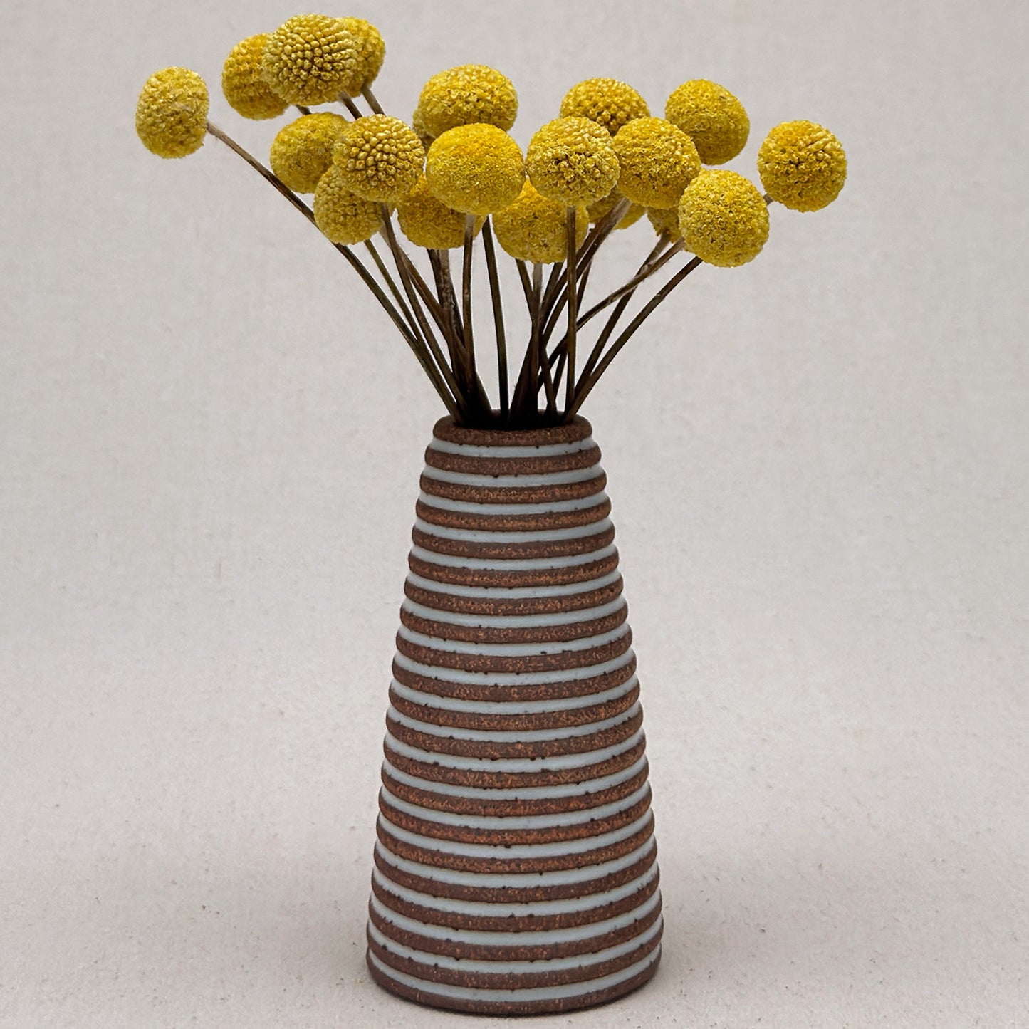 Medium White Stripe Conical Vase