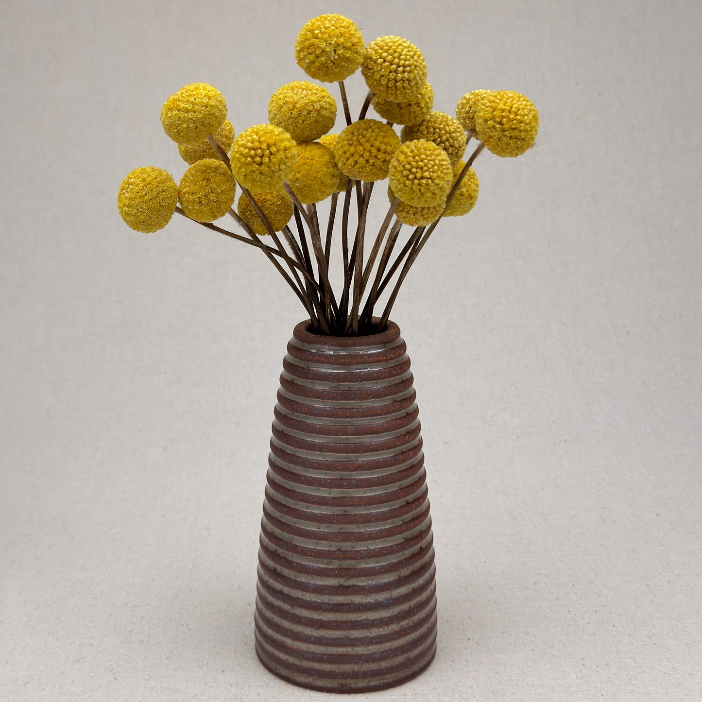 Medium Shino Stripe Conical Vase