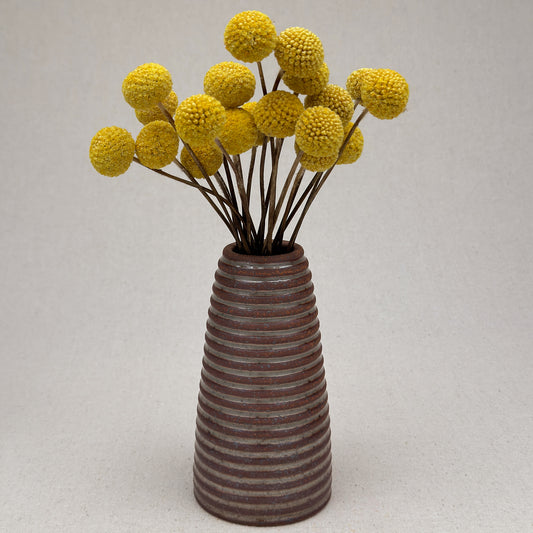Medium Shino Stripe Conical Vase