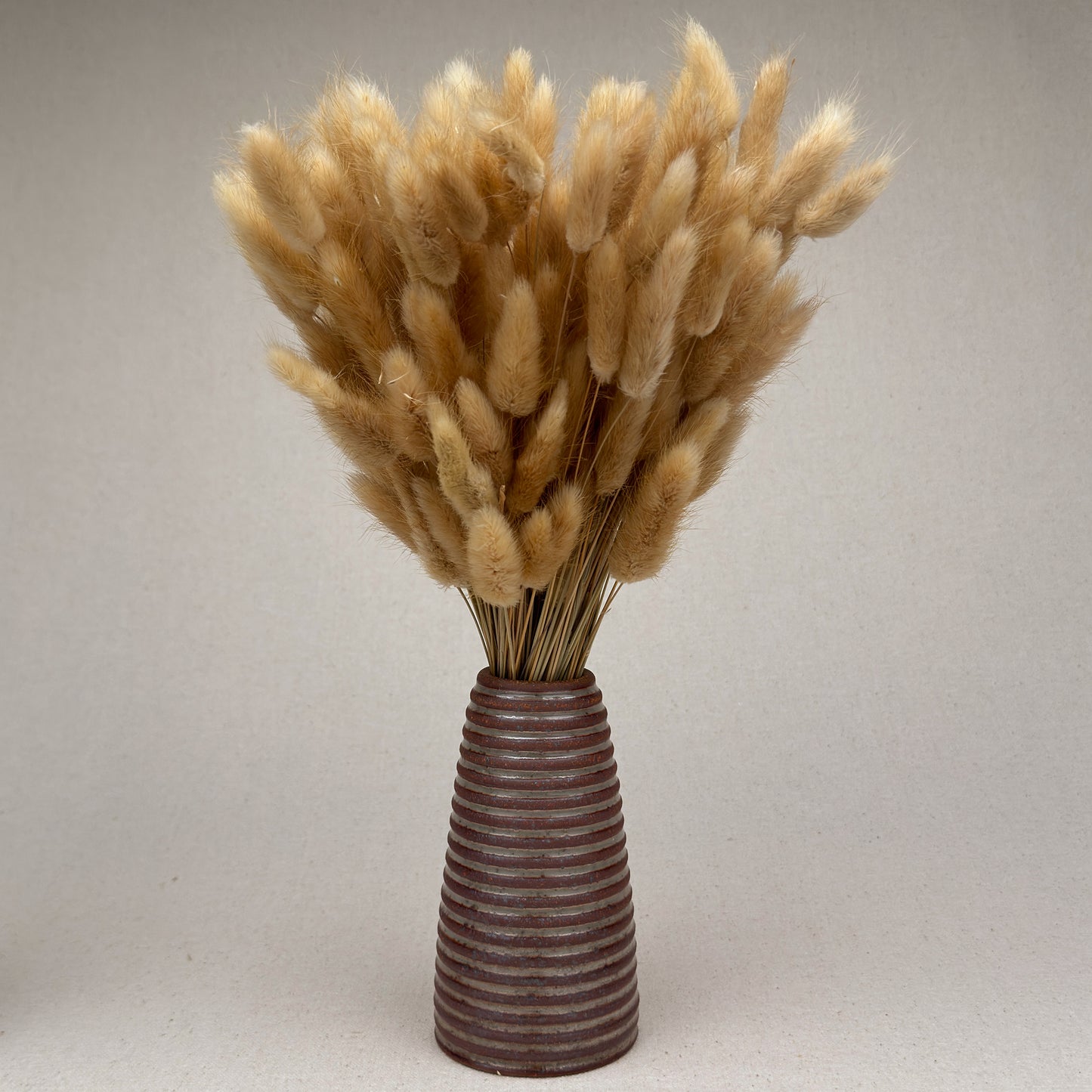 Medium Shino Stripe Conical Vase