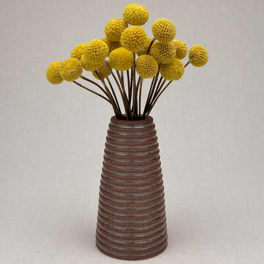 Medium Shino Stripe Conical Vase