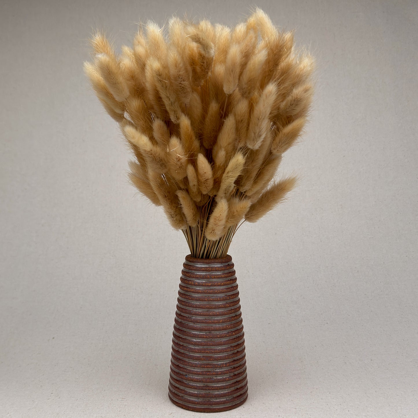 Medium Shino Stripe Conical Vase