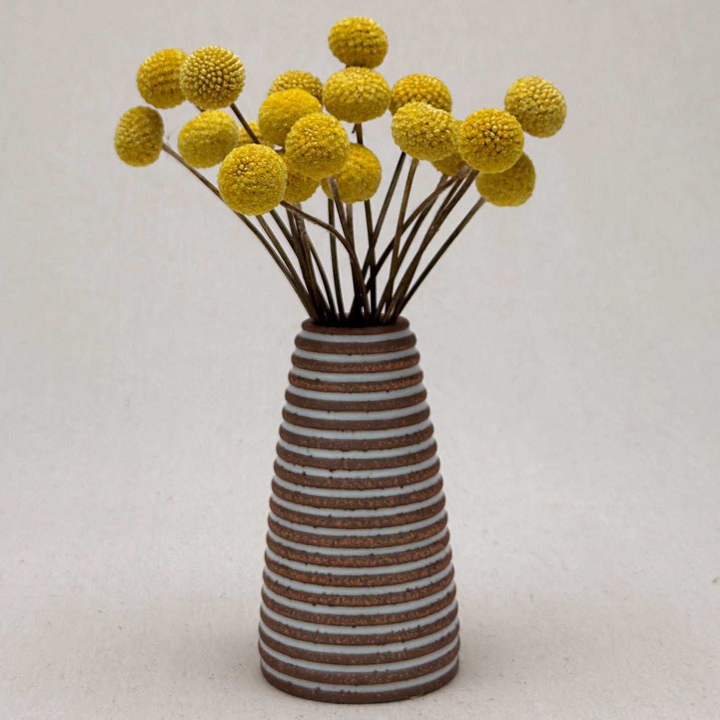 Medium White Stripe Conical Vase