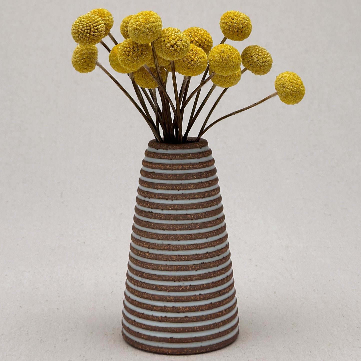 Medium White Stripe Conical Vase