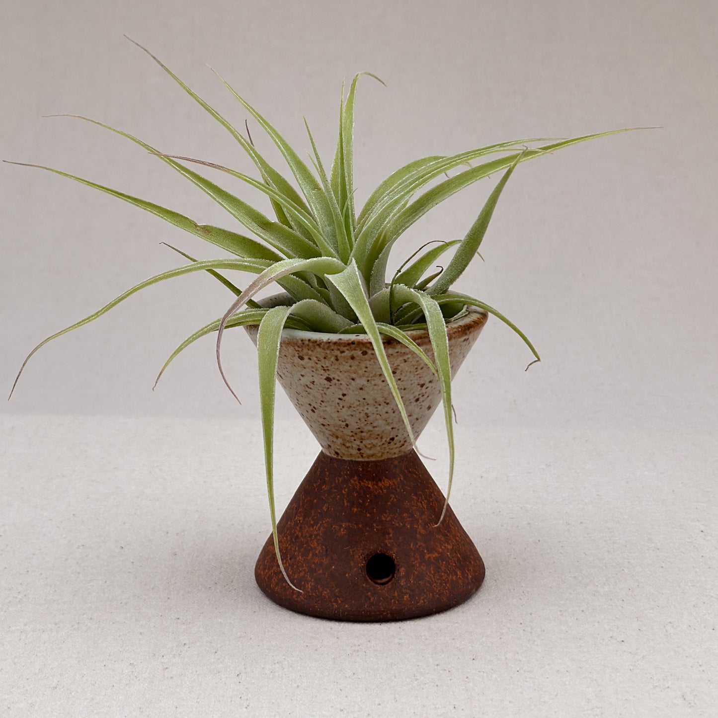 Small Speckled White Angular Pedestal Planter