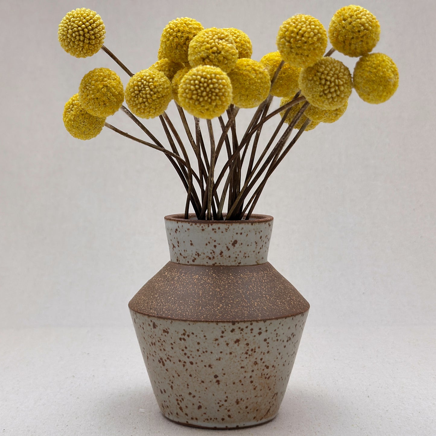 Small-Medium Speckled White Angular Vase