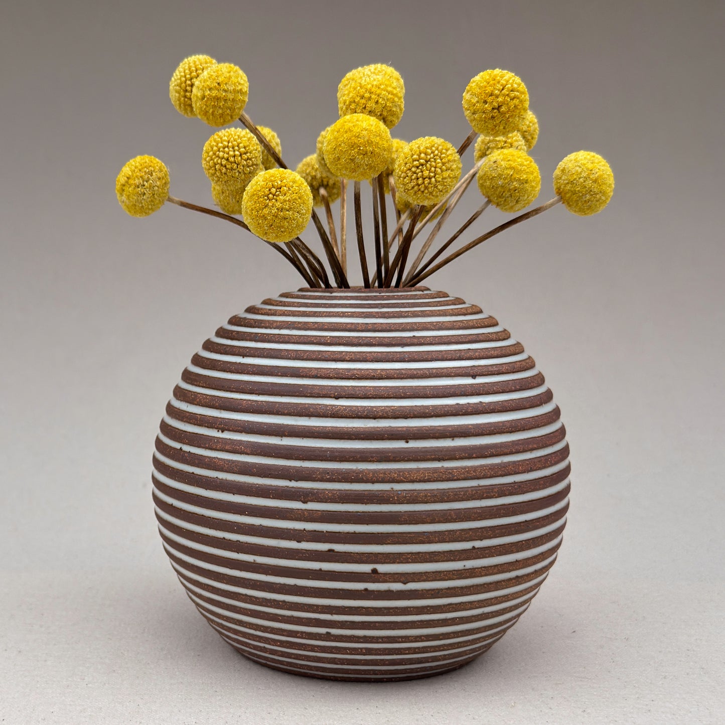Medium White Stripe Round Vase