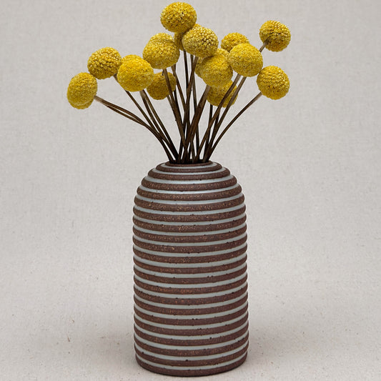 Medium White Stripe Round Top Vase