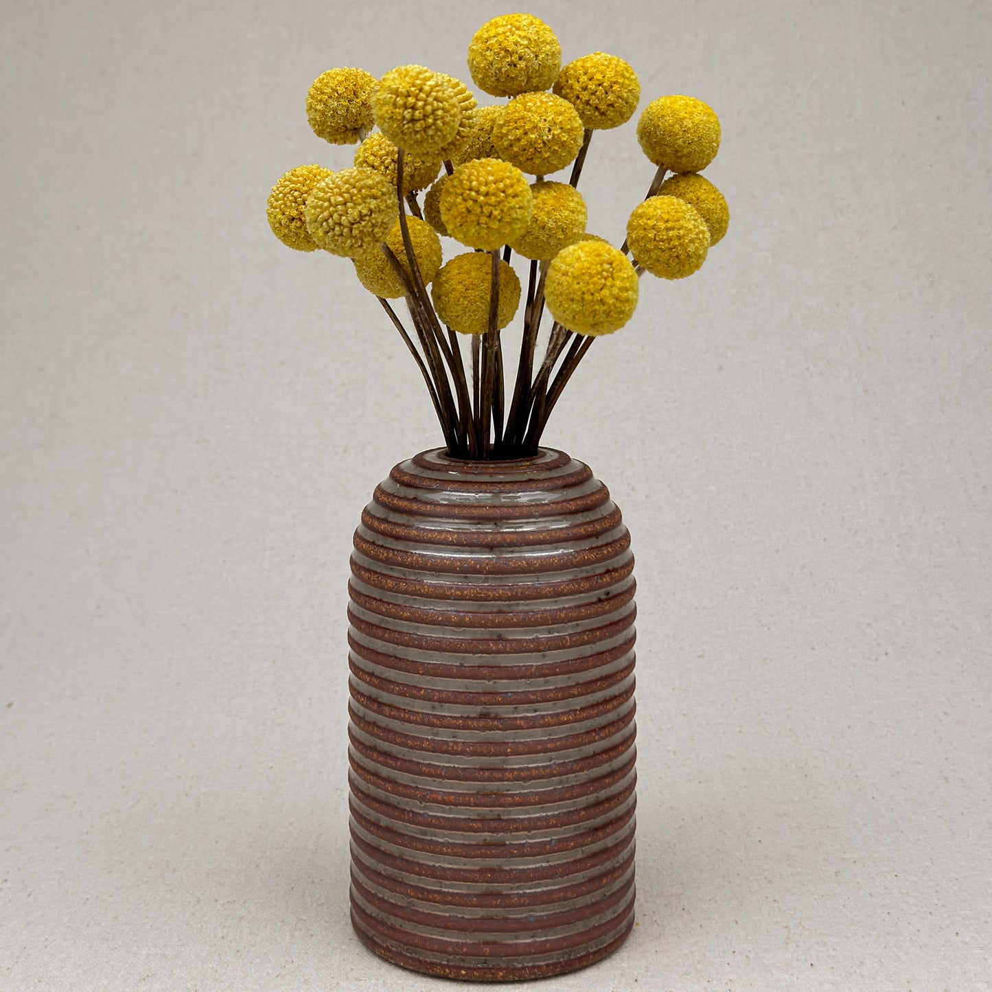 Medium Shino Stripe Round Top Vase