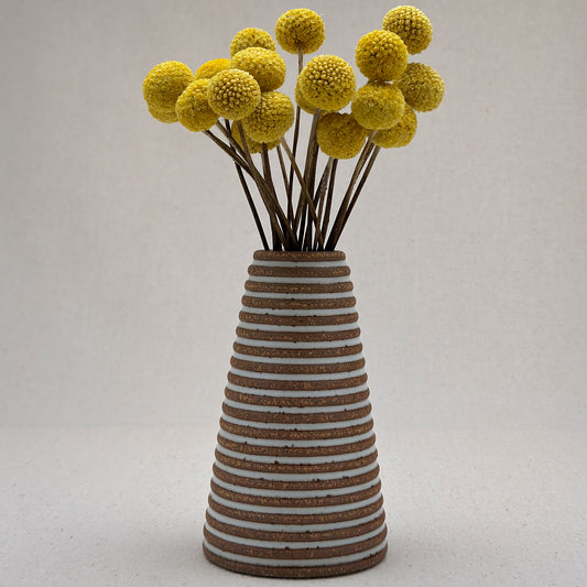 Medium White Stripe Cone Vase