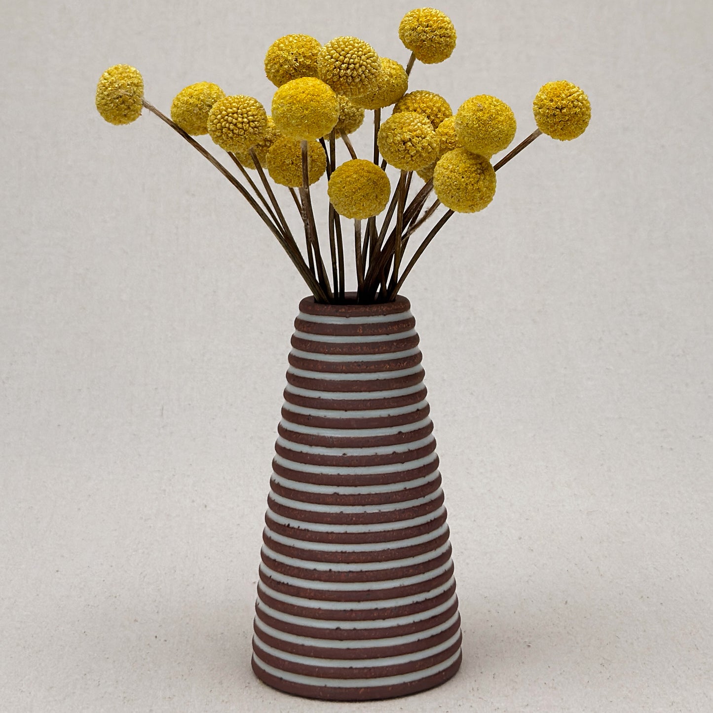 Medium White Stripe Conical Vase