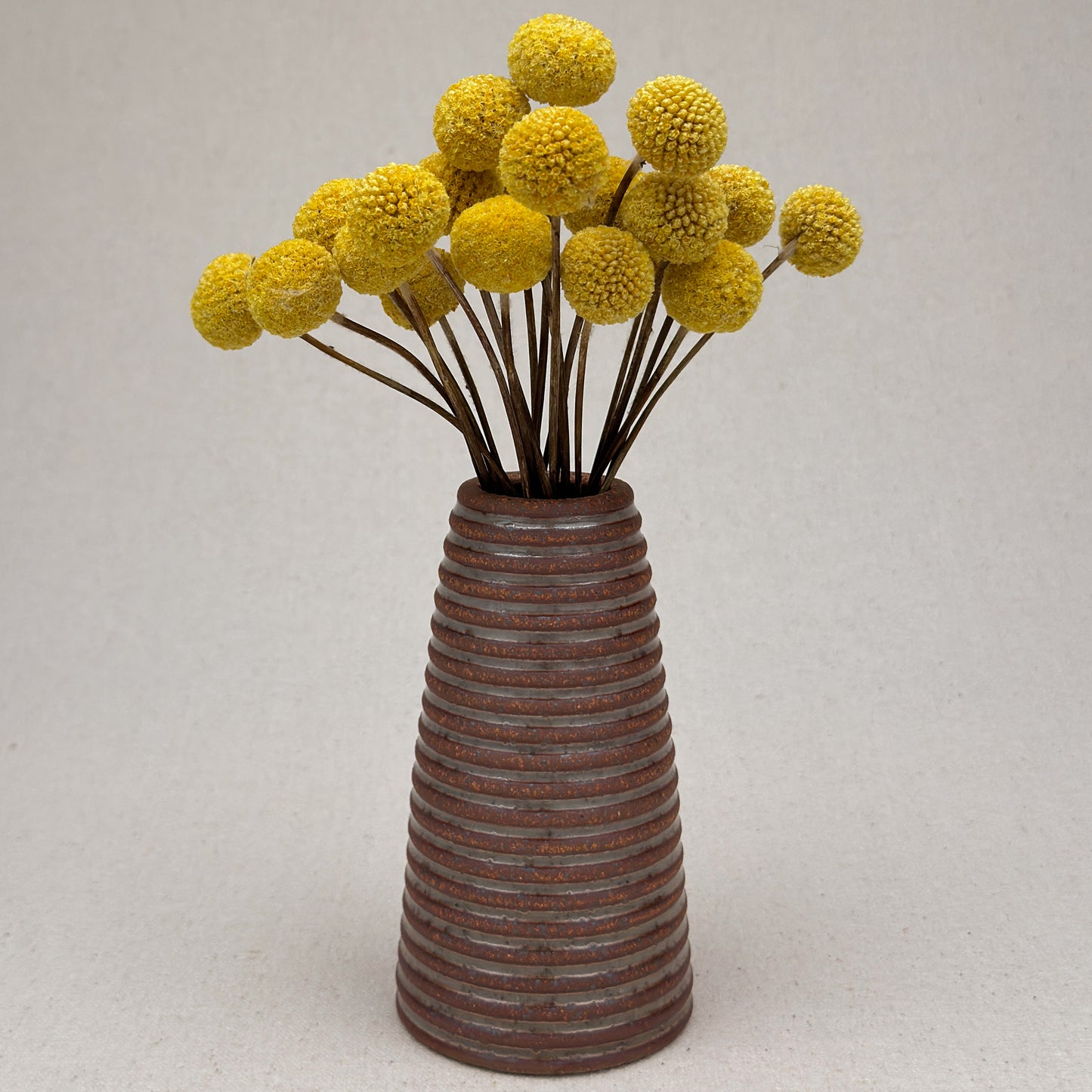 Medium Shino Stripe Conical Vase