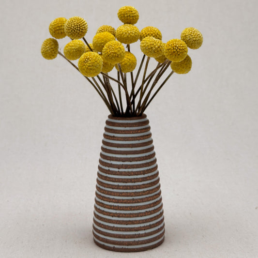 Medium White Stripe Conical Vase