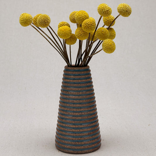 Medium Blue Stripe Conical Vase