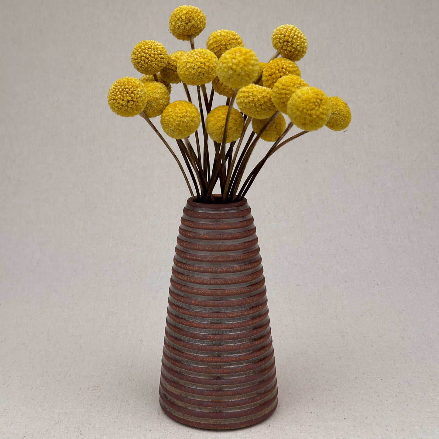 Medium Shino Stripe Conical Vase