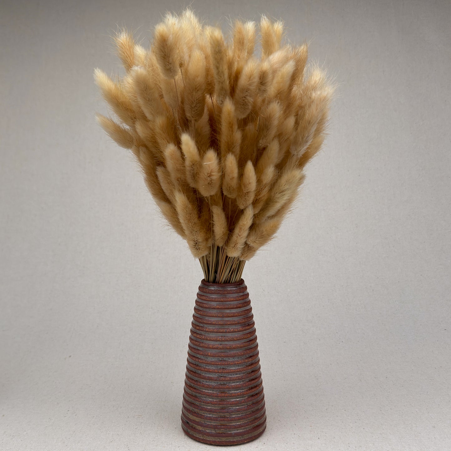 Medium Shino Stripe Conical Vase