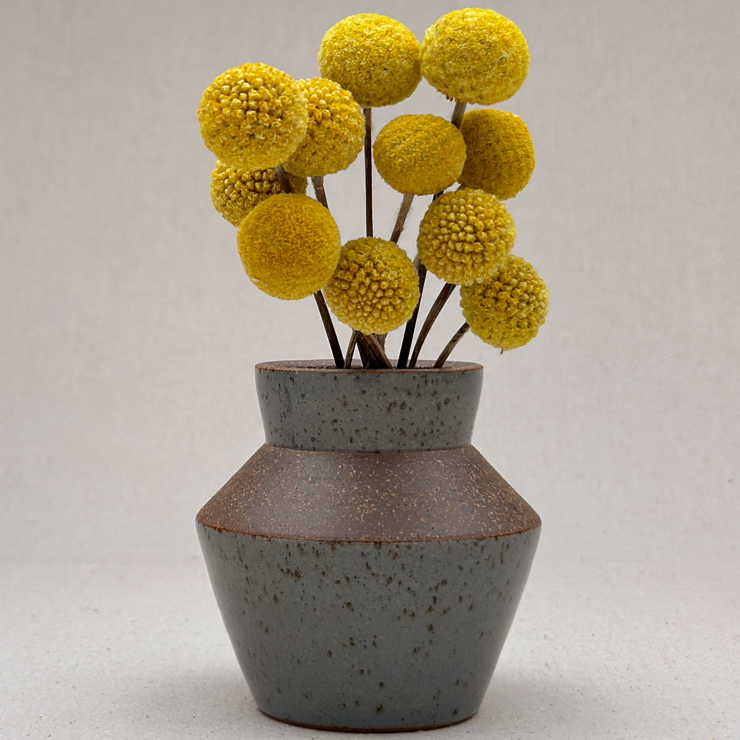 Small Speckled Blue Angular Vase