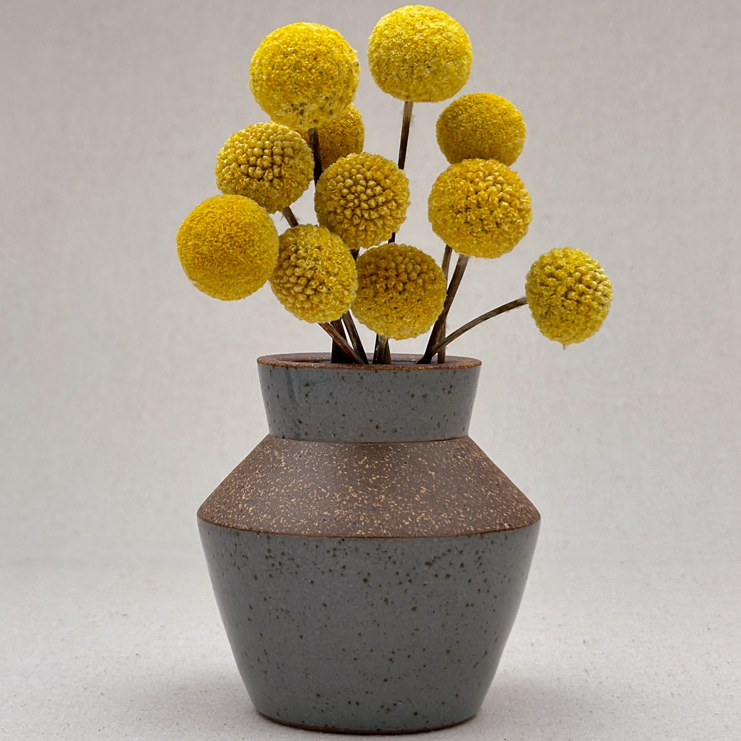 Small Speckled Blue Angular Vase