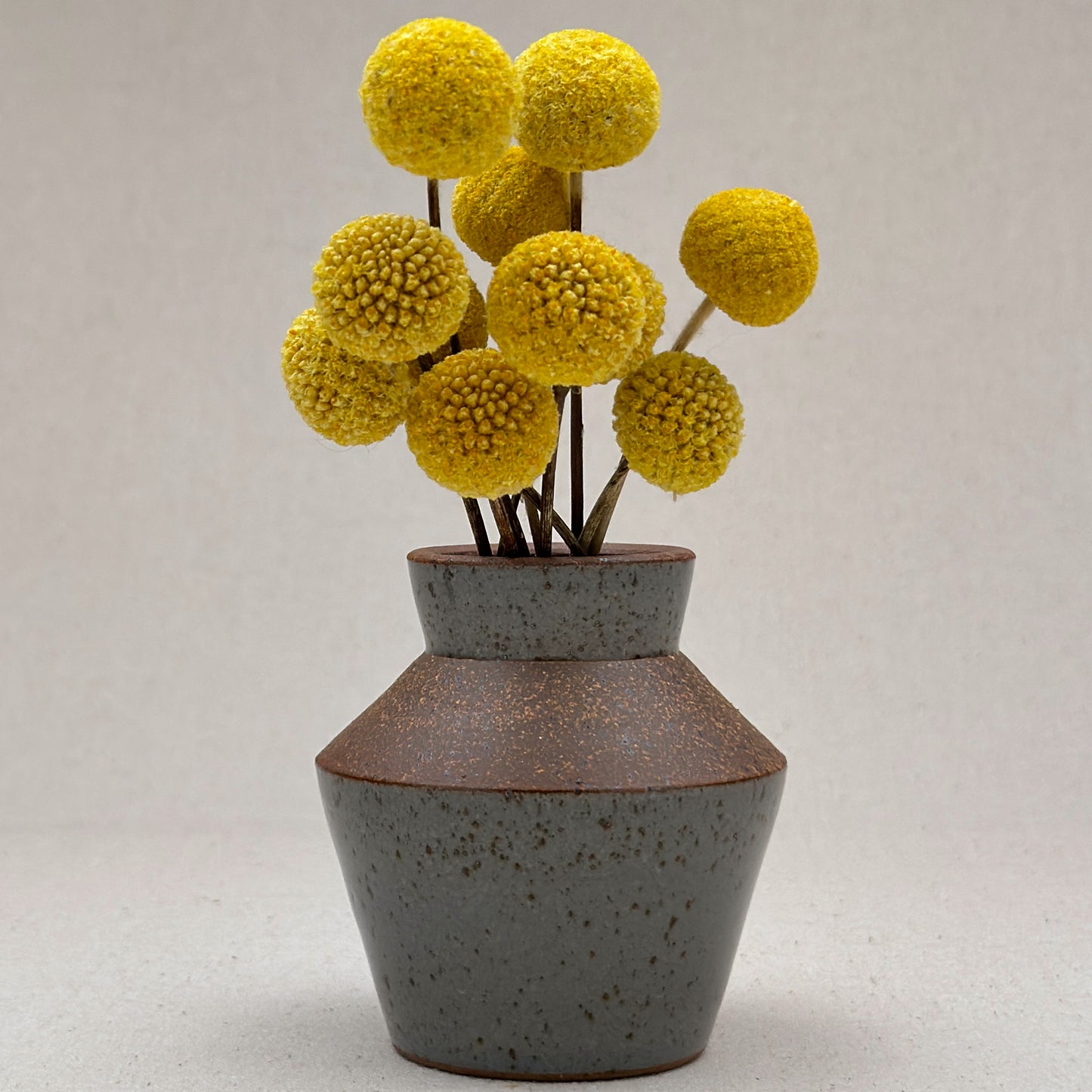 Small Speckled Blue Angular Vase