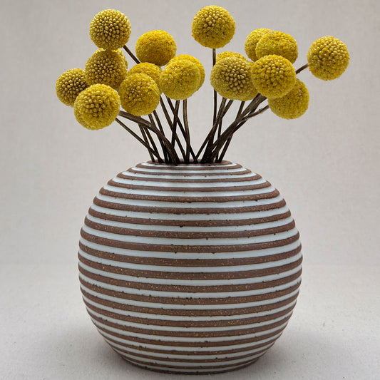 Medium White Stripe Round Vase