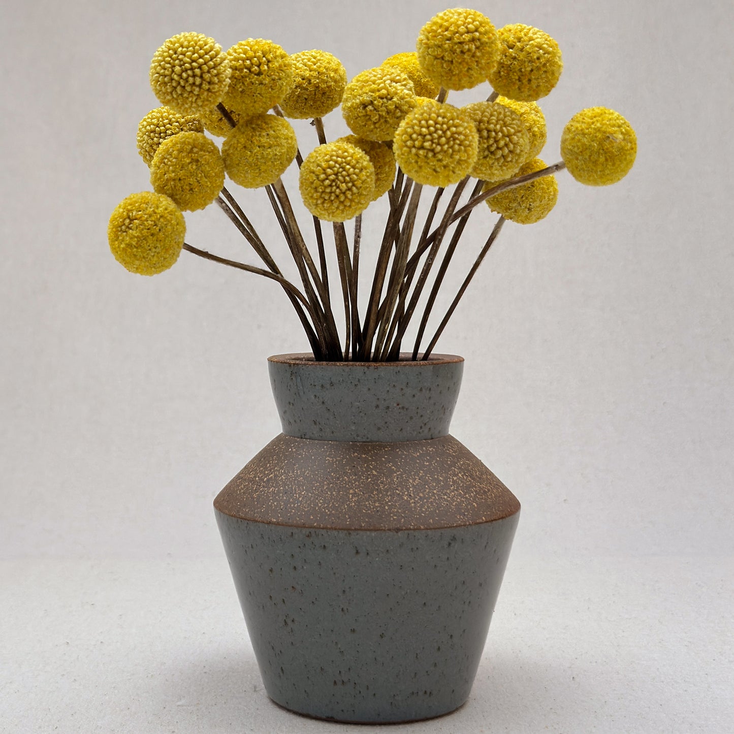 Small-Medium Speckled Blue Angular Vase